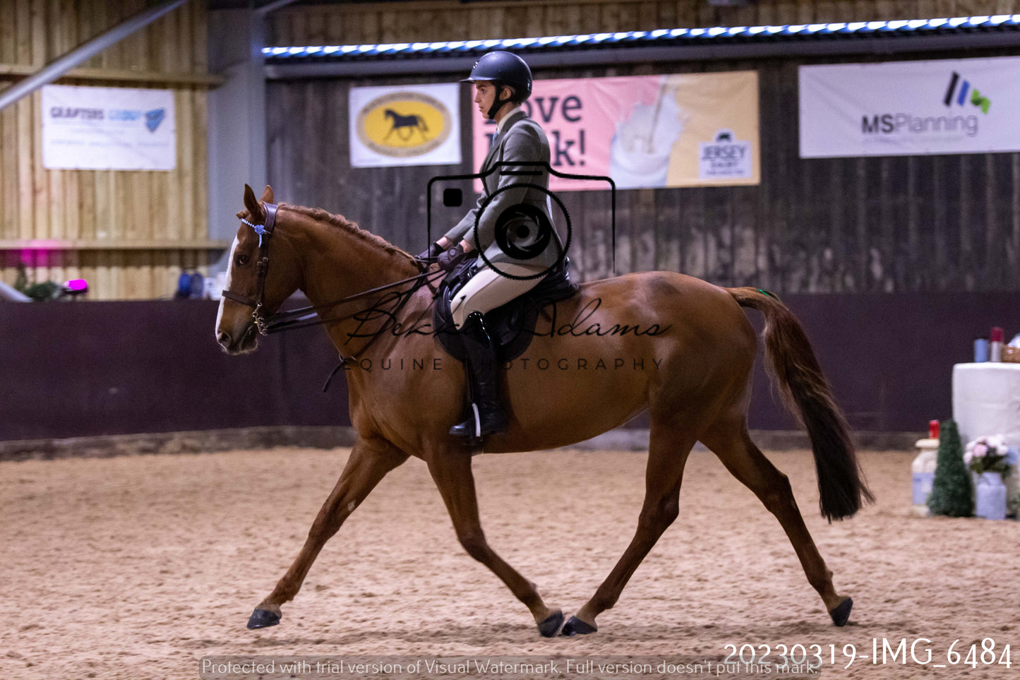 Home Farm Showing 19th March (Ridden) Pt 2