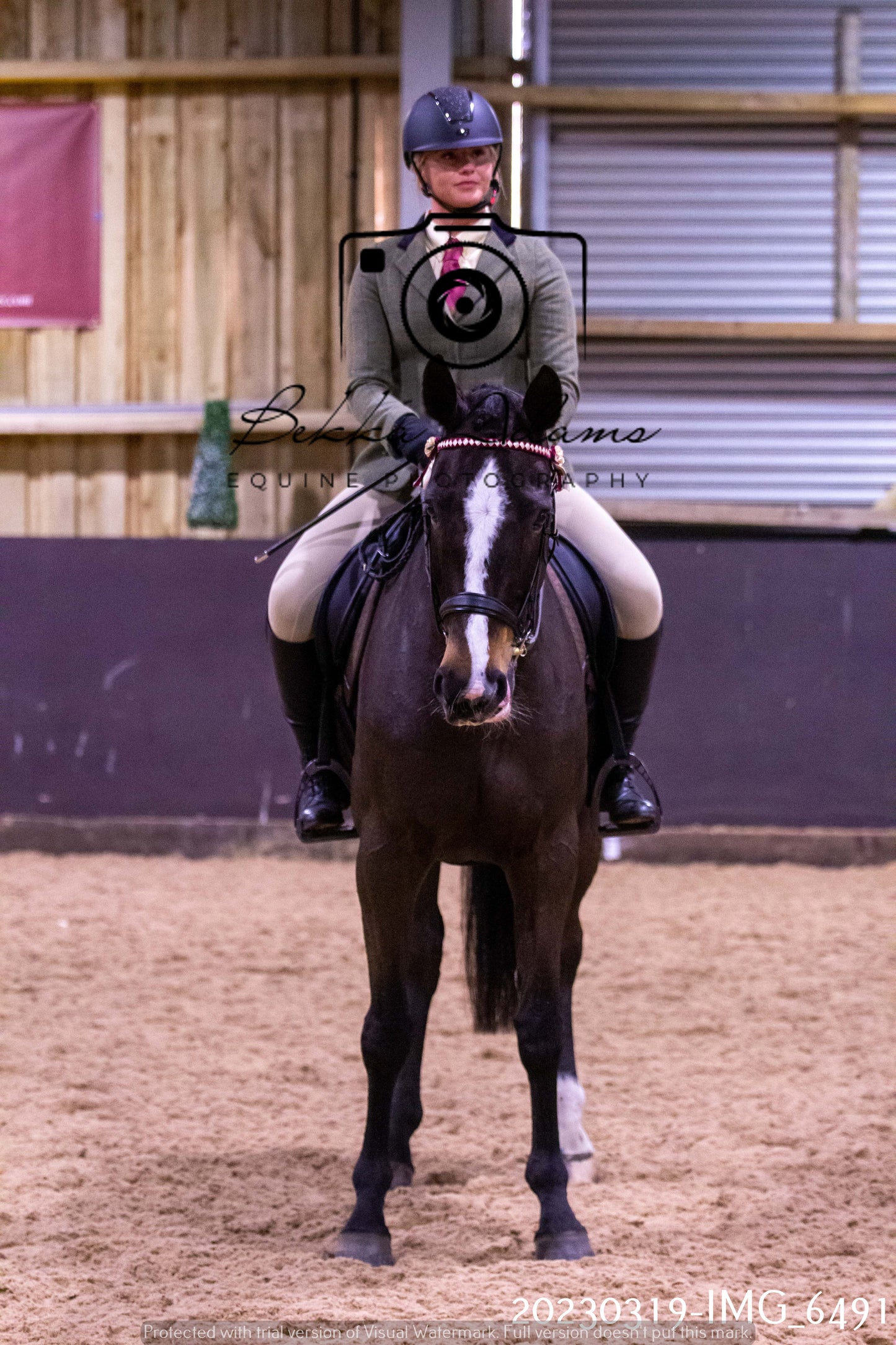 Home Farm Showing 19th March (Ridden) Pt 2