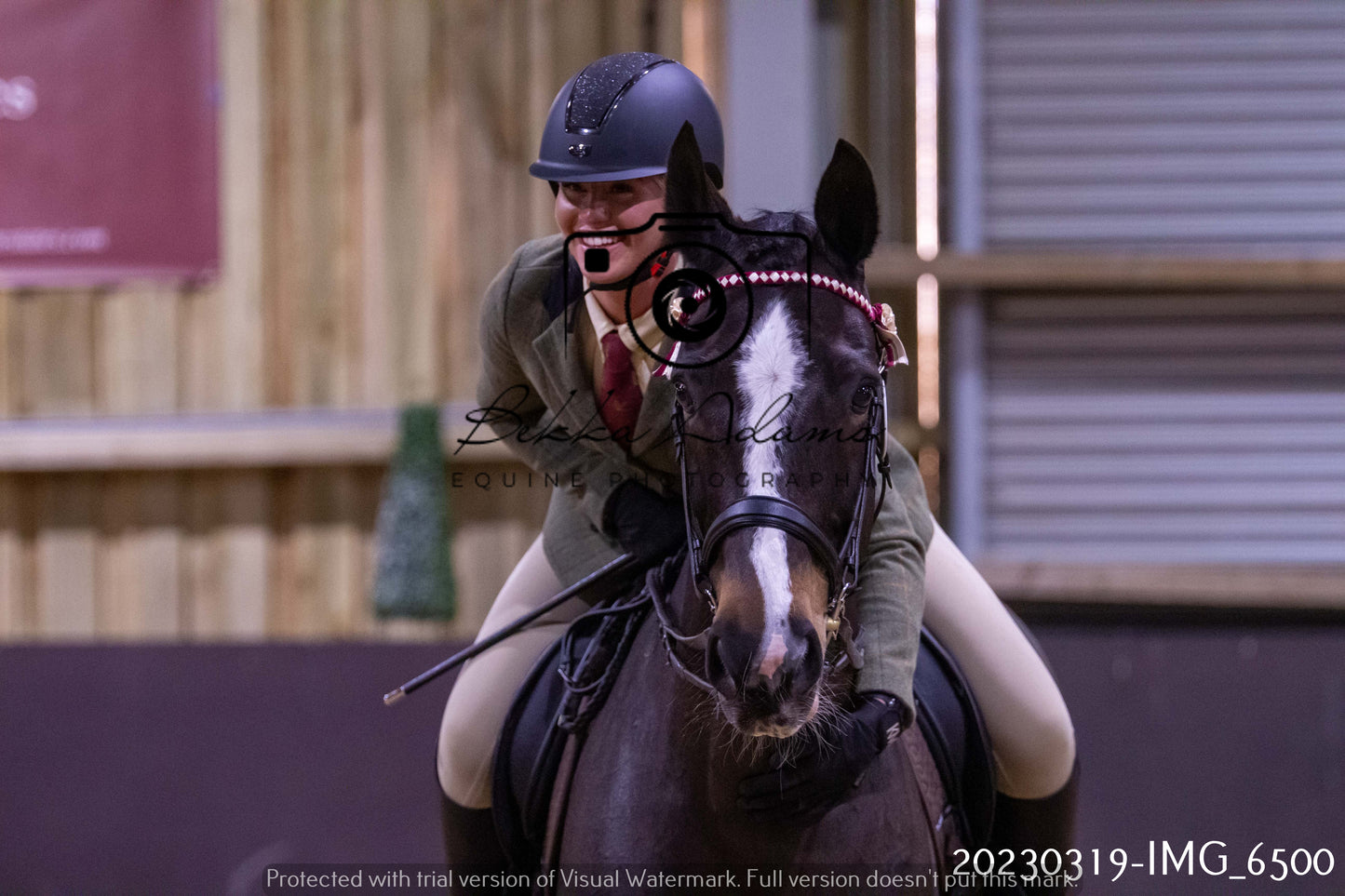 Home Farm Showing 19th March (Ridden) Pt 2