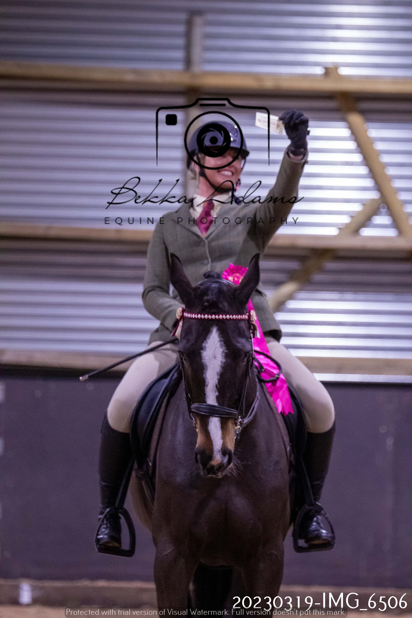 Home Farm Showing 19th March (Ridden) Pt 2