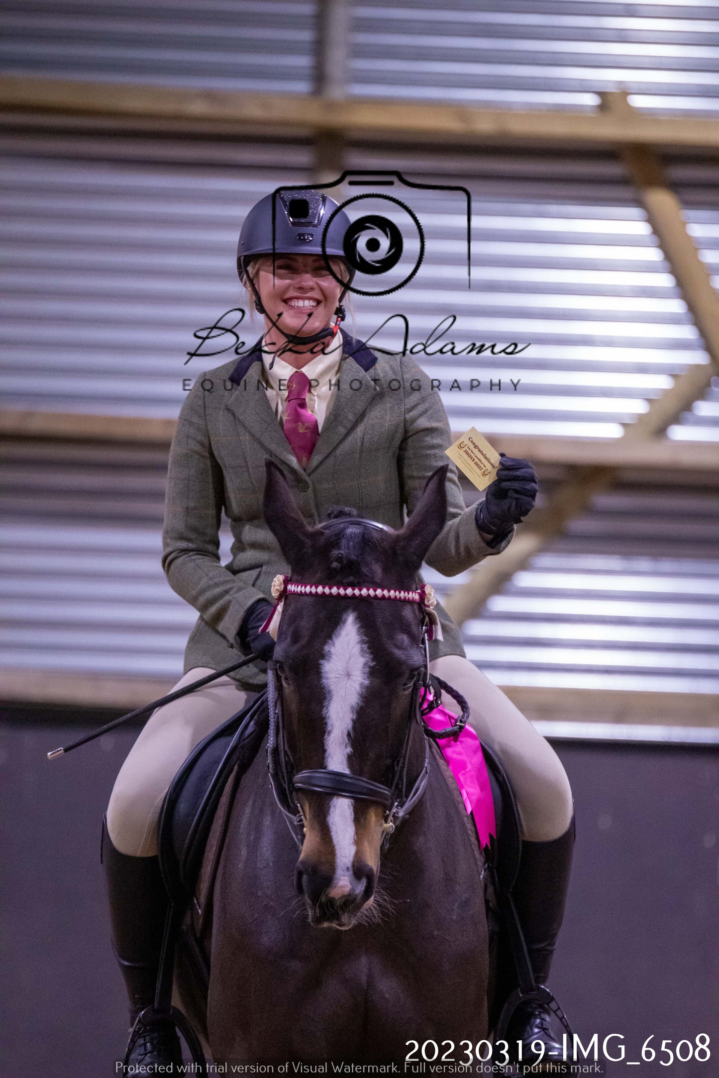 Home Farm Showing 19th March (Ridden) Pt 2