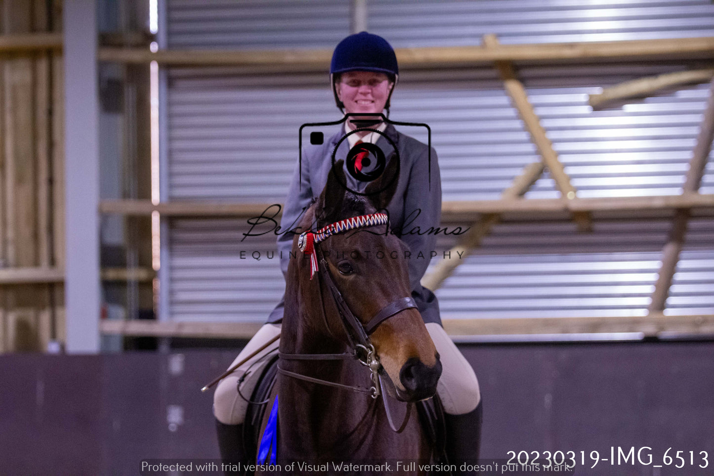 Home Farm Showing 19th March (Ridden) Pt 2
