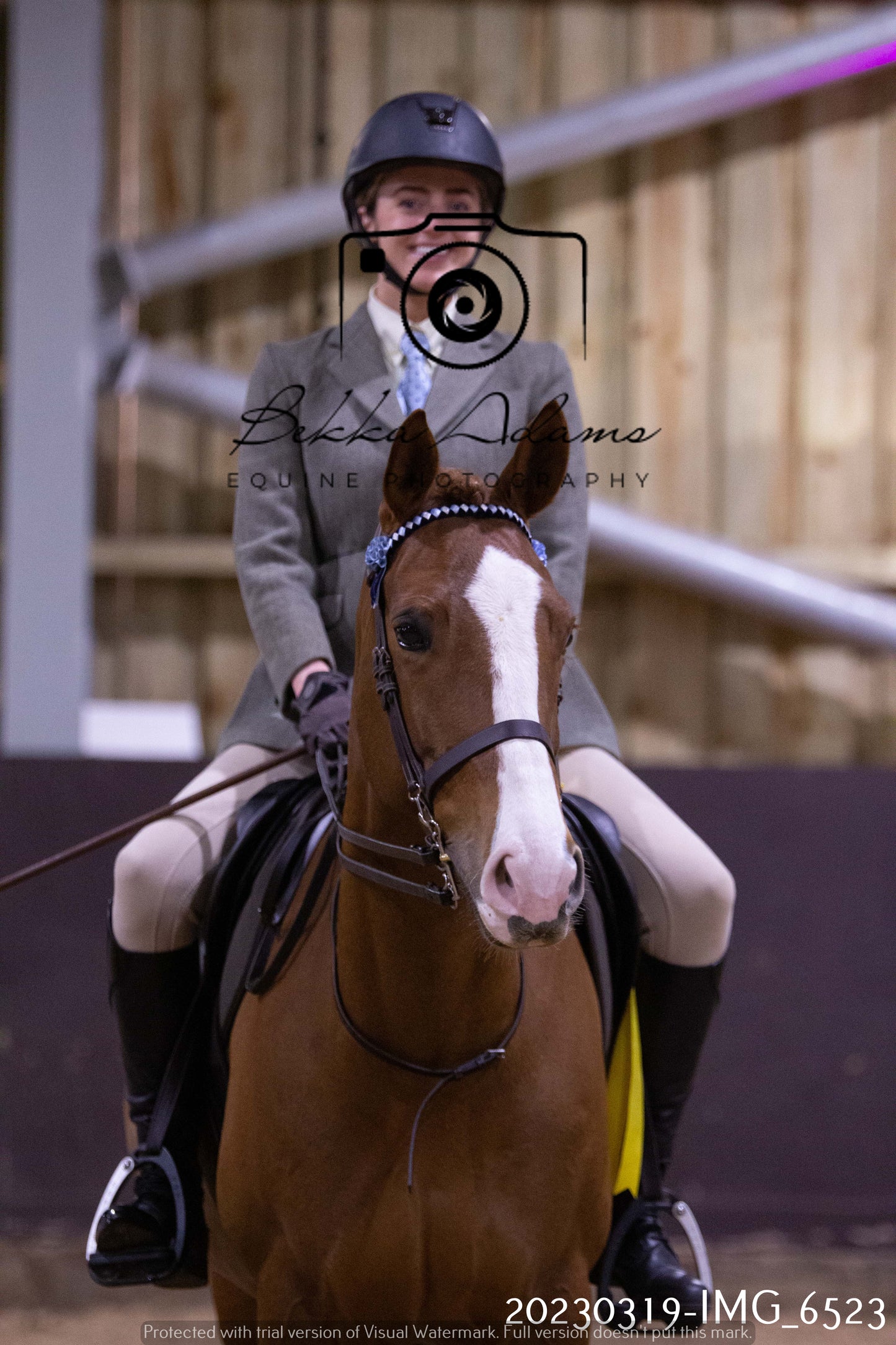 Home Farm Showing 19th March (Ridden) Pt 2