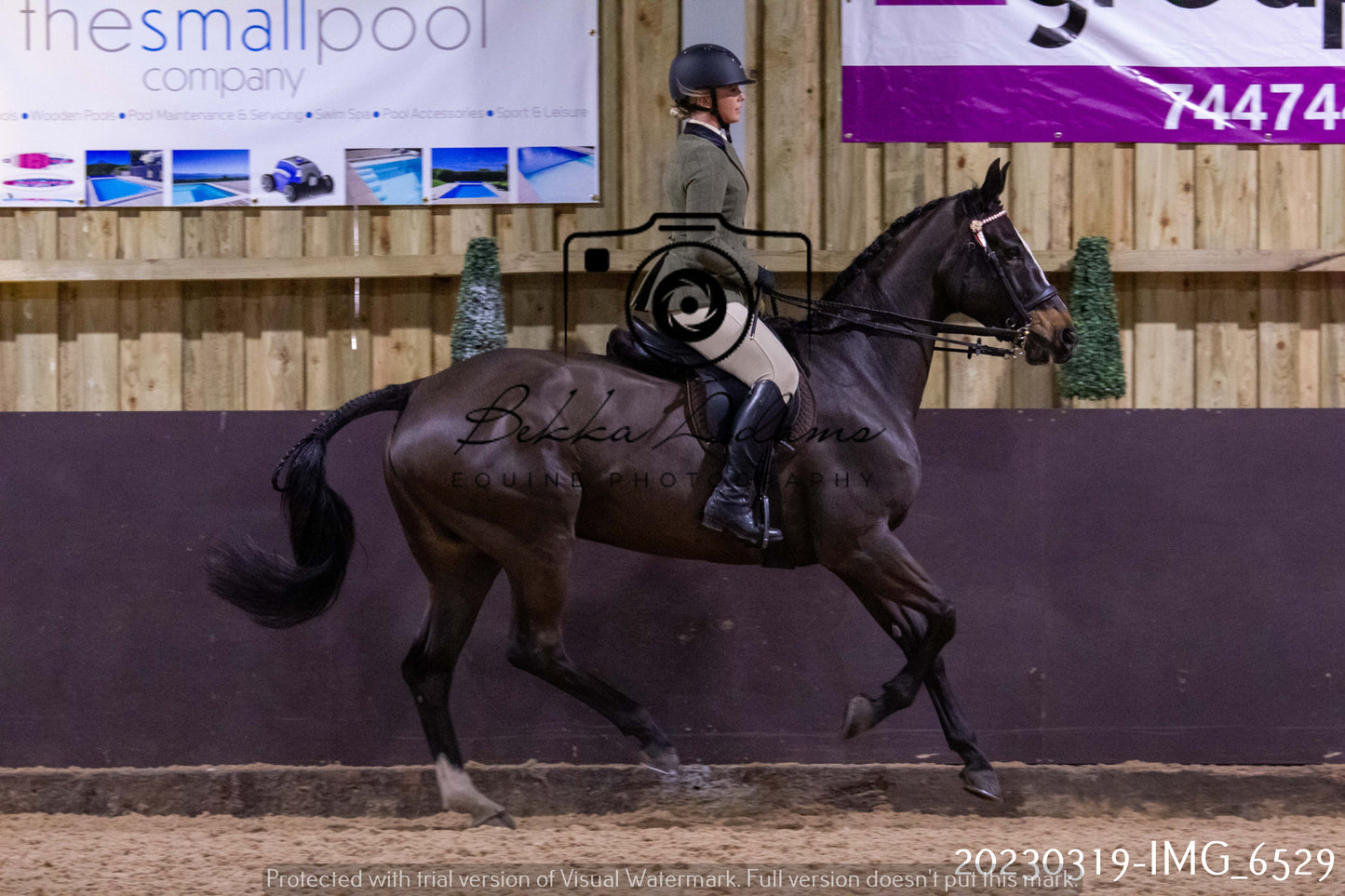 Home Farm Showing 19th March (Ridden) Pt 2