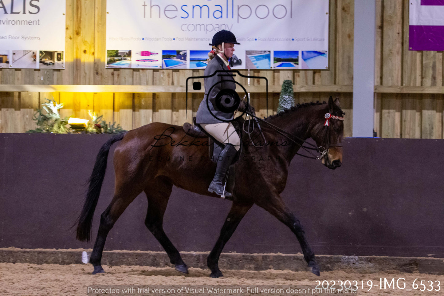 Home Farm Showing 19th March (Ridden) Pt 2