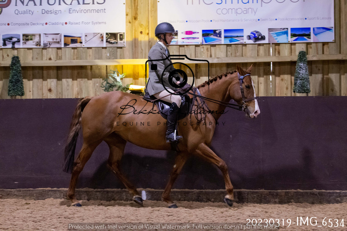 Home Farm Showing 19th March (Ridden) Pt 2