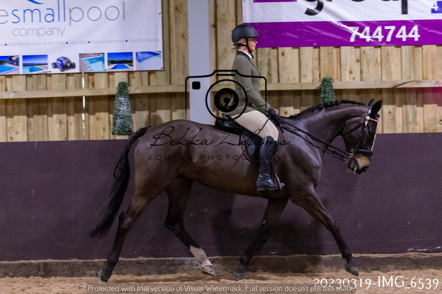 Home Farm Showing 19th March (Ridden) Pt 2