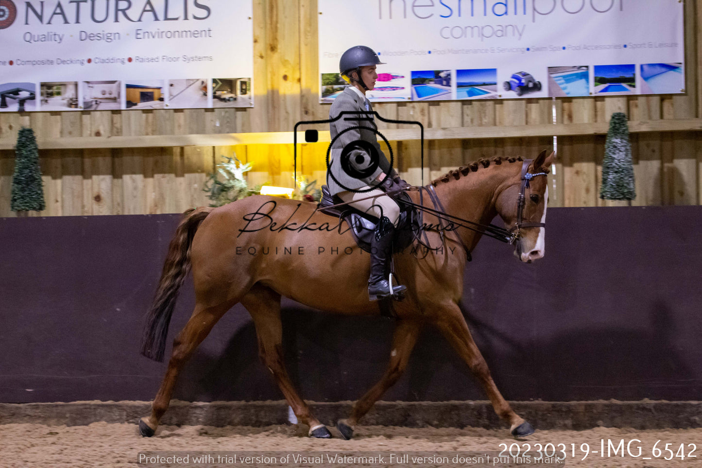 Home Farm Showing 19th March (Ridden) Pt 2