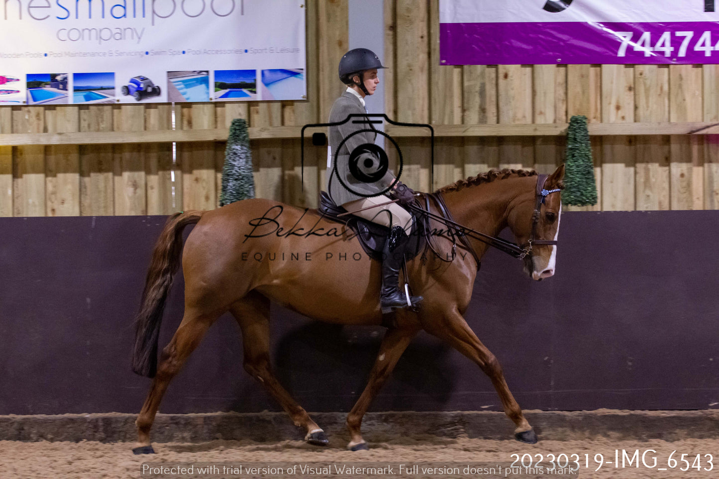 Home Farm Showing 19th March (Ridden) Pt 2