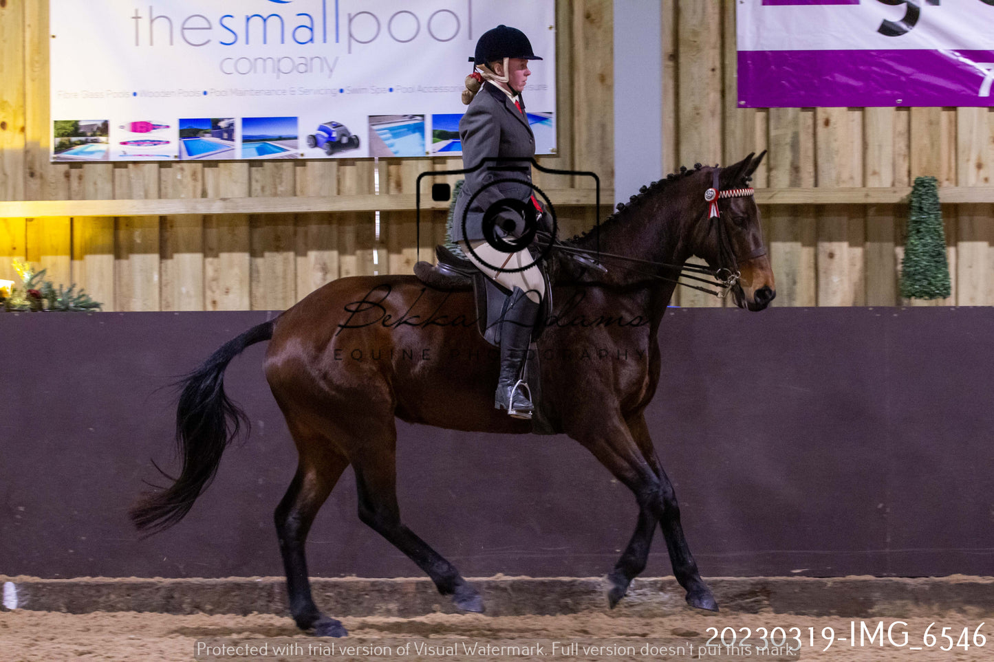 Home Farm Showing 19th March (Ridden) Pt 2