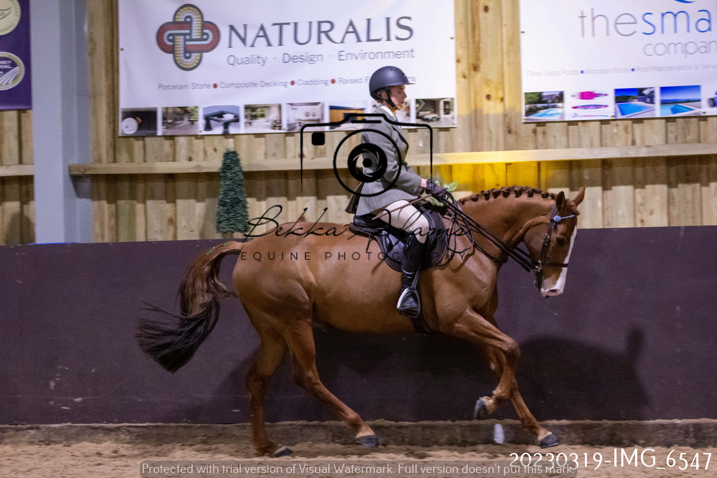 Home Farm Showing 19th March (Ridden) Pt 2