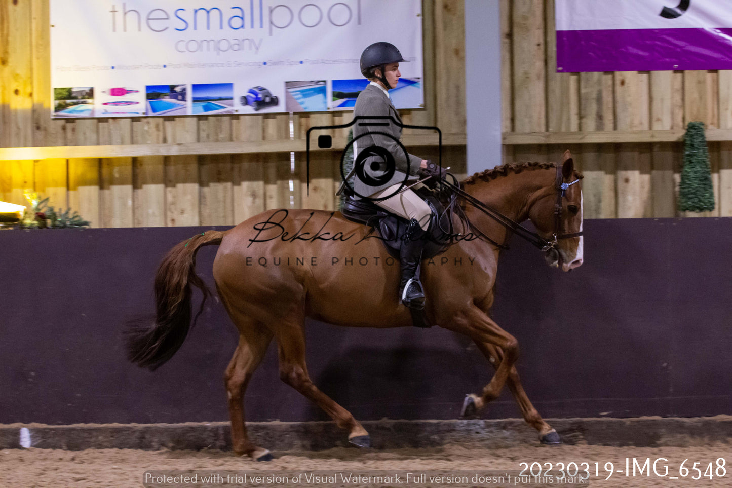 Home Farm Showing 19th March (Ridden) Pt 2