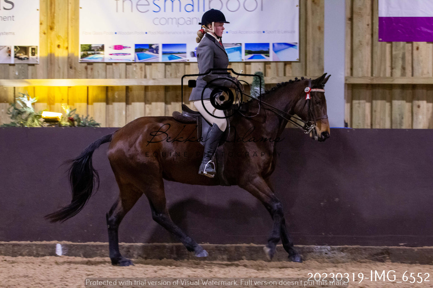 Home Farm Showing 19th March (Ridden) Pt 2