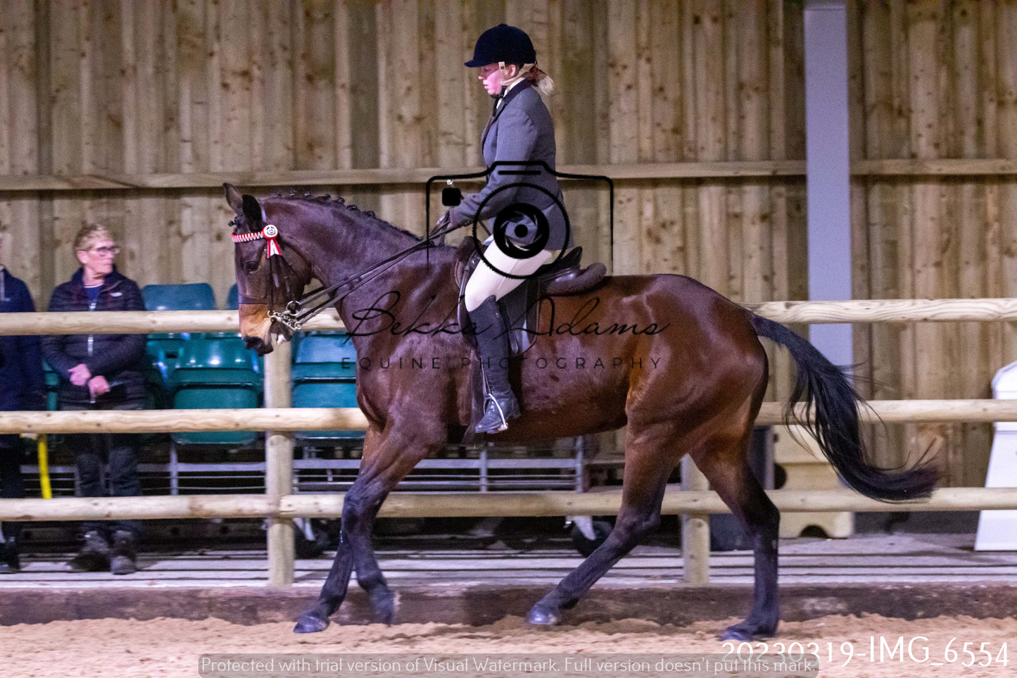 Home Farm Showing 19th March (Ridden) Pt 2
