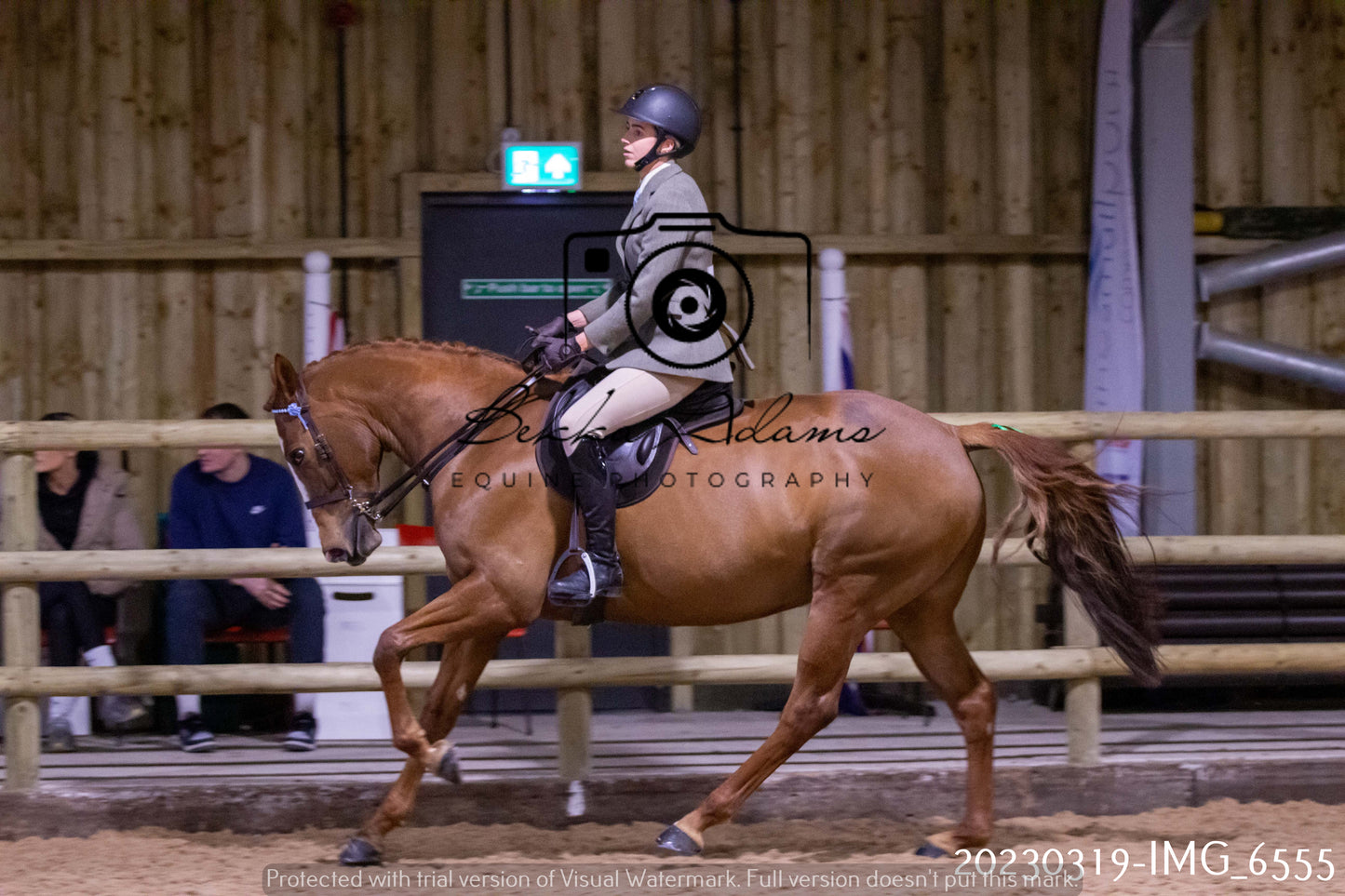 Home Farm Showing 19th March (Ridden) Pt 2
