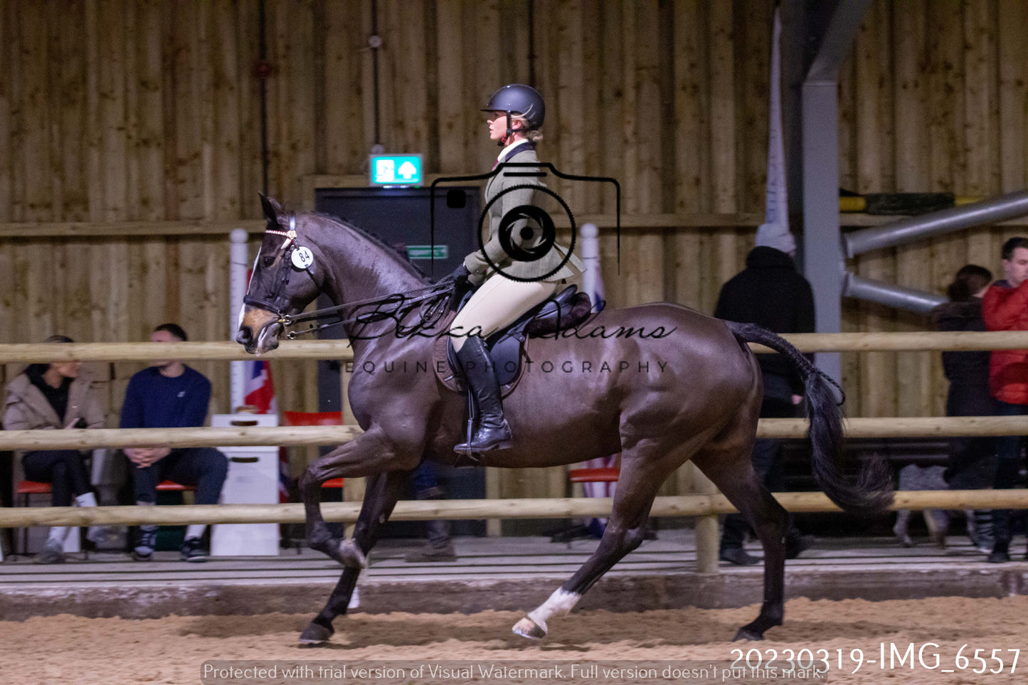 Home Farm Showing 19th March (Ridden) Pt 2