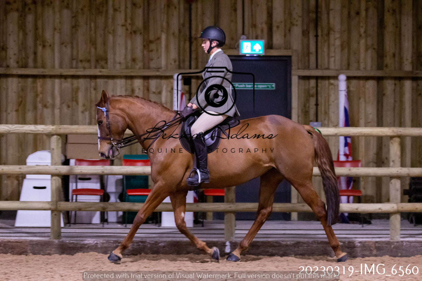 Home Farm Showing 19th March (Ridden) Pt 2