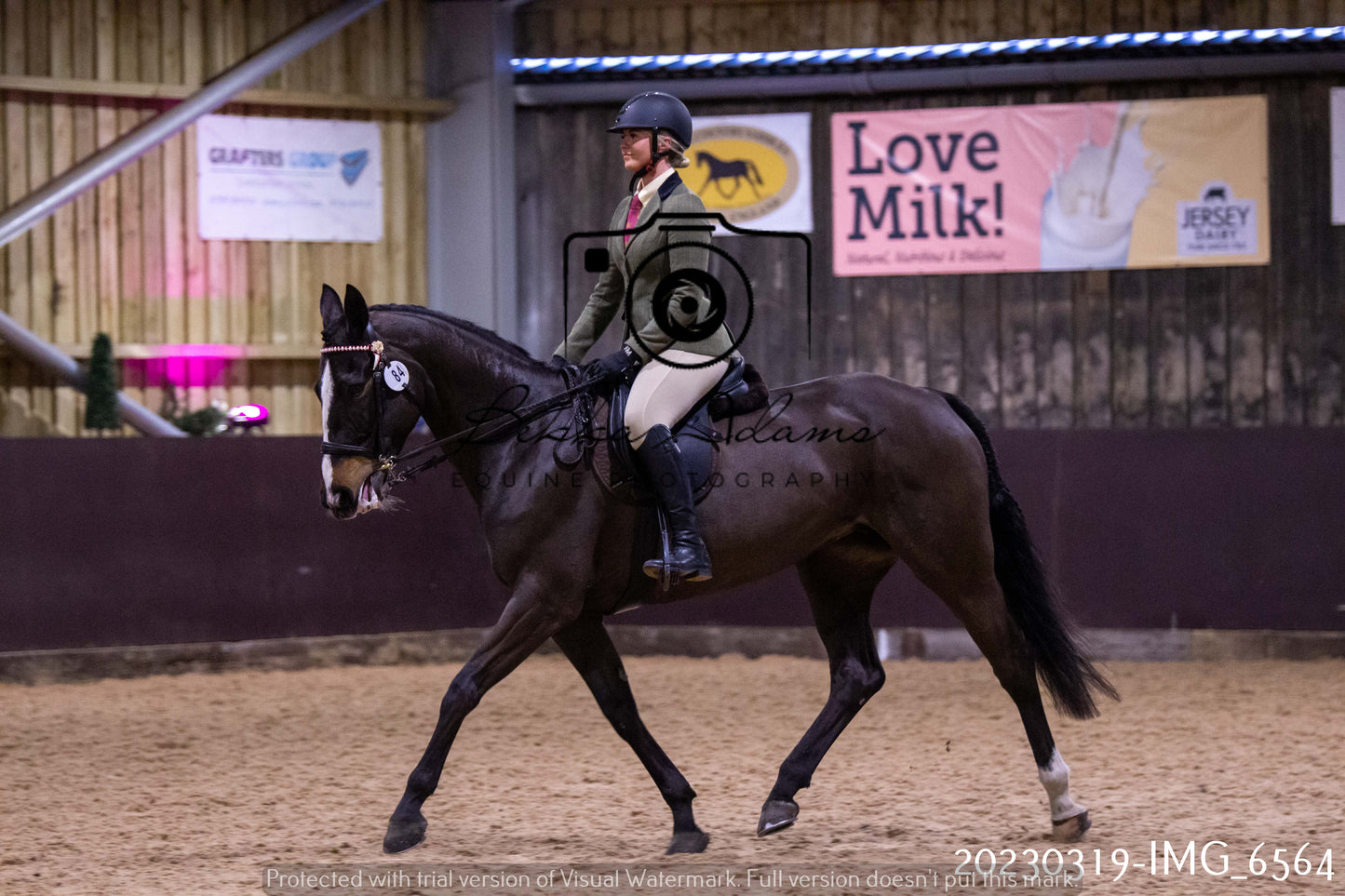 Home Farm Showing 19th March (Ridden) Pt 2