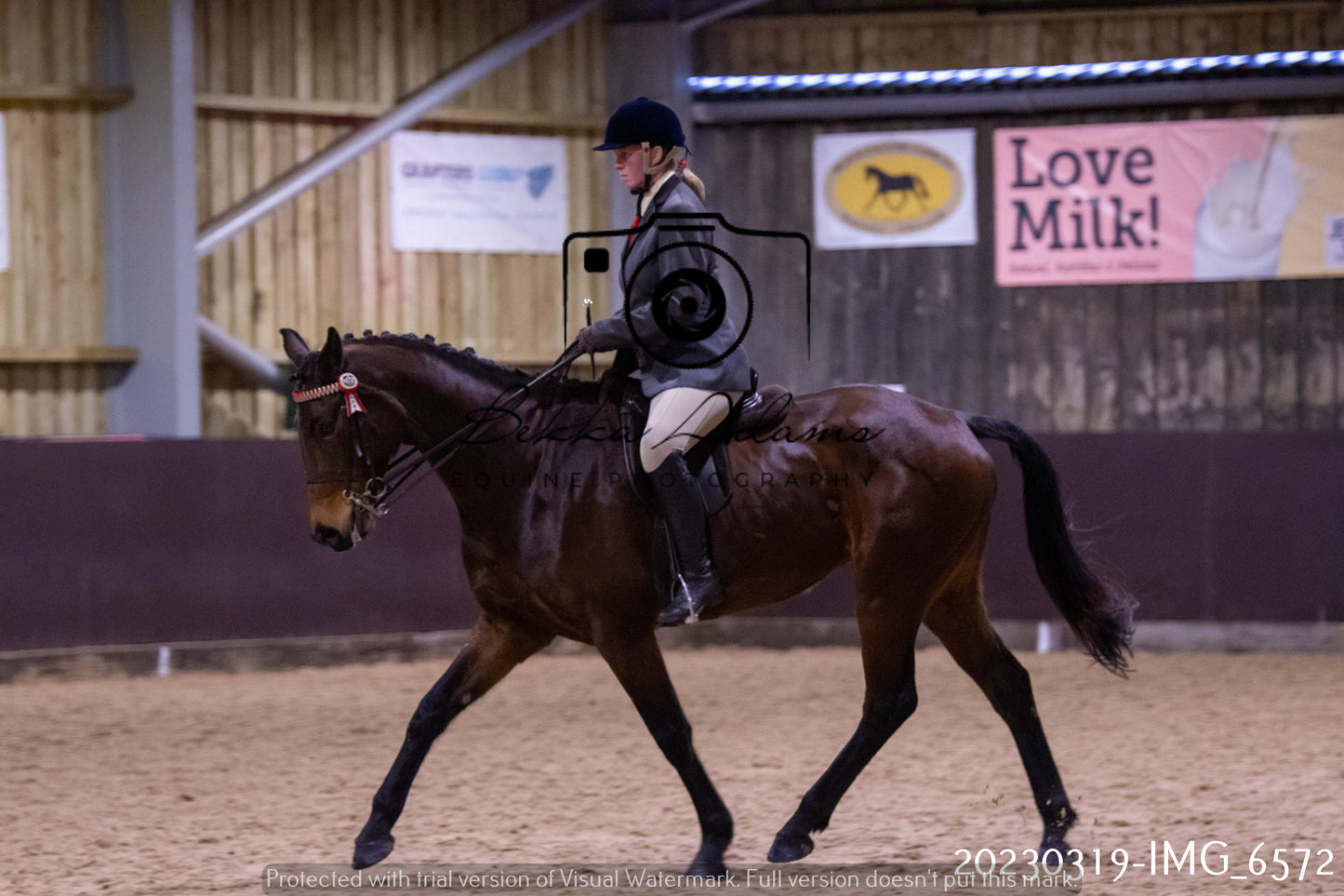 Home Farm Showing 19th March (Ridden) Pt 2