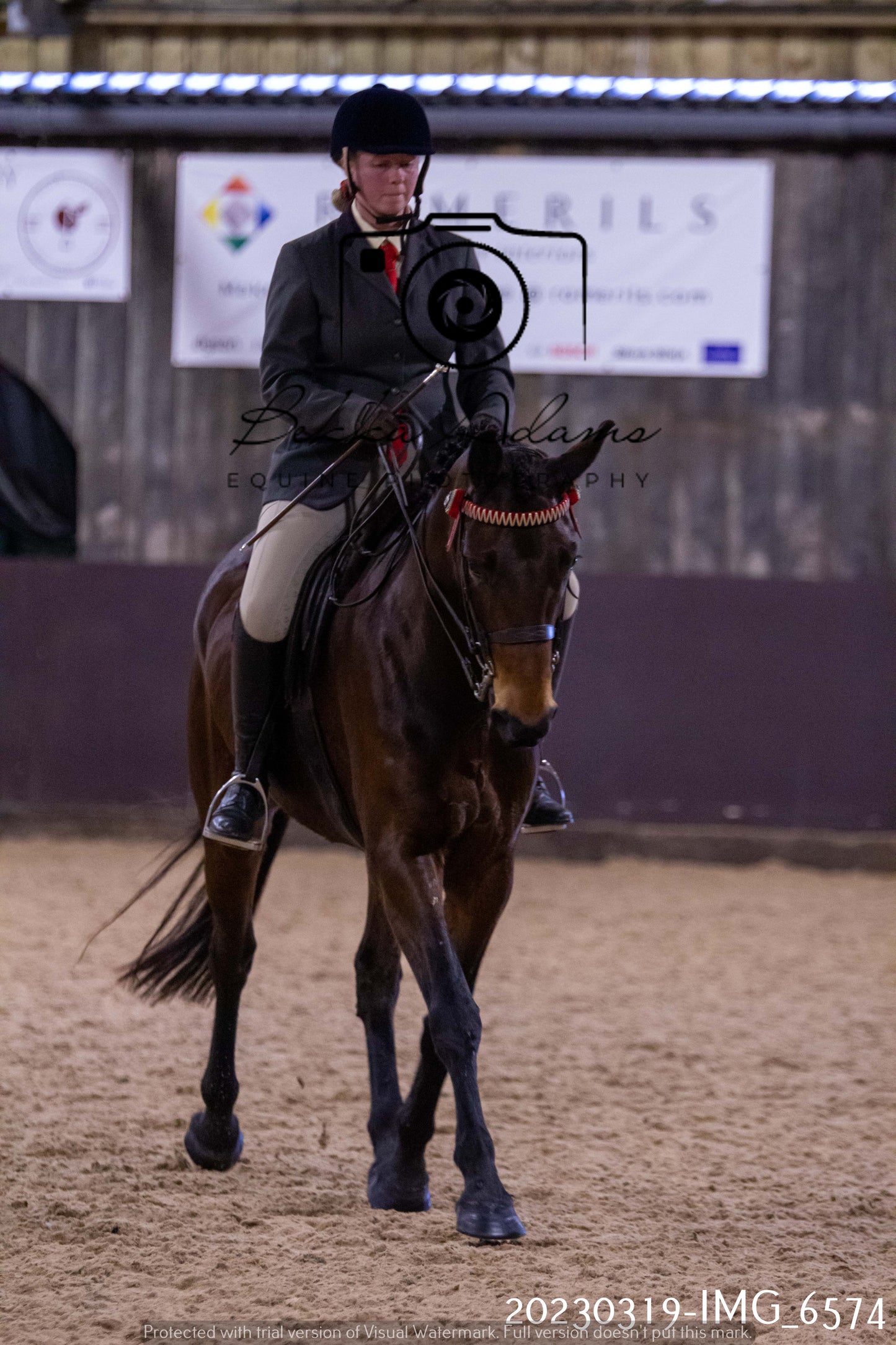 Home Farm Showing 19th March (Ridden) Pt 2