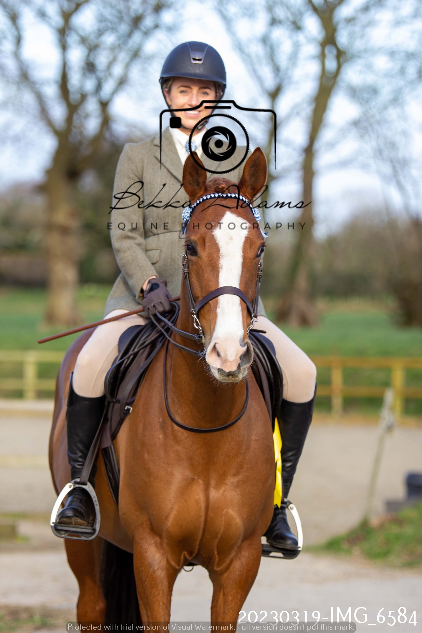 Home Farm Showing 19th March (Ridden) Pt 2