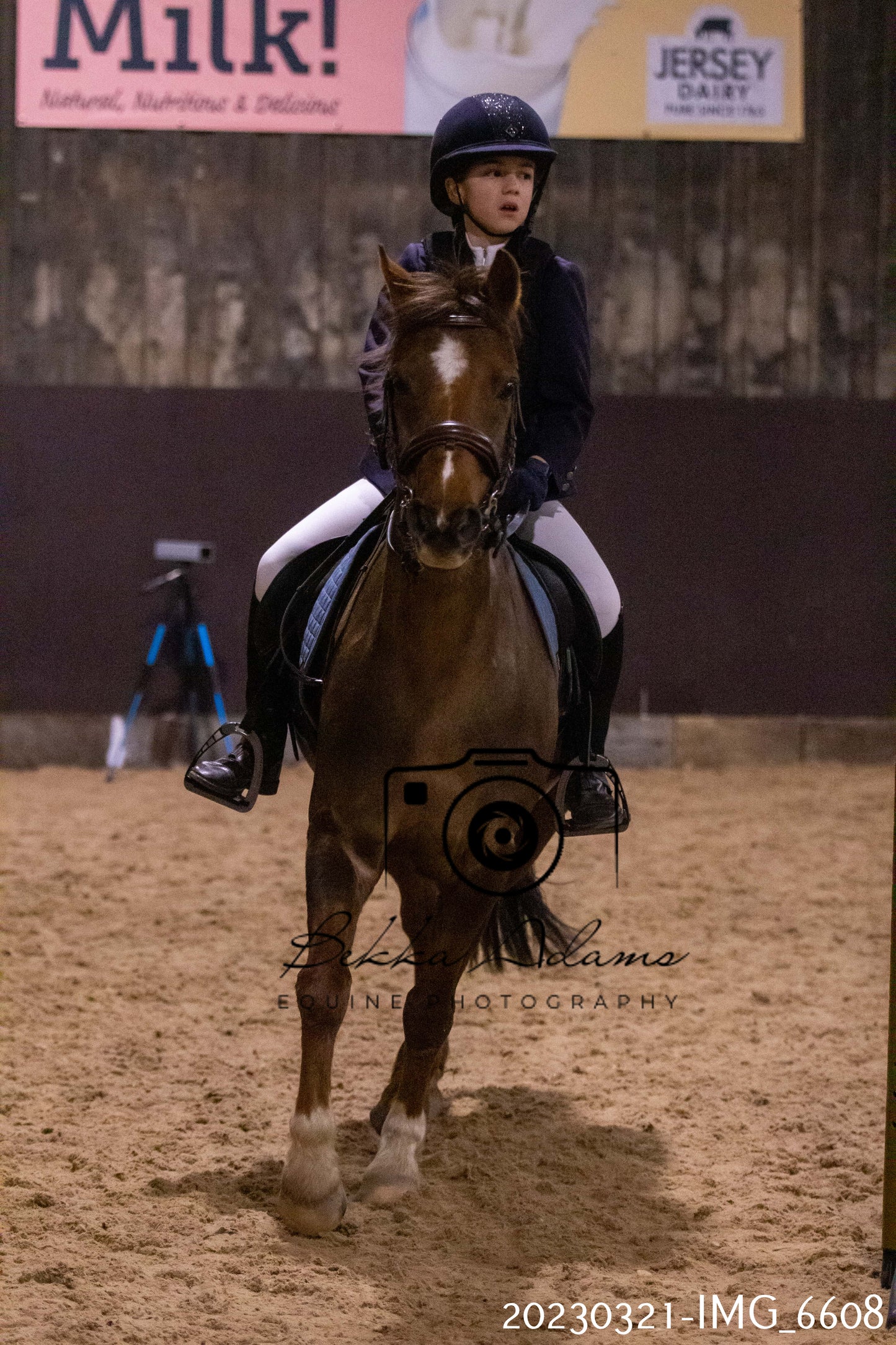 Home Farm Show Jumping 21st March