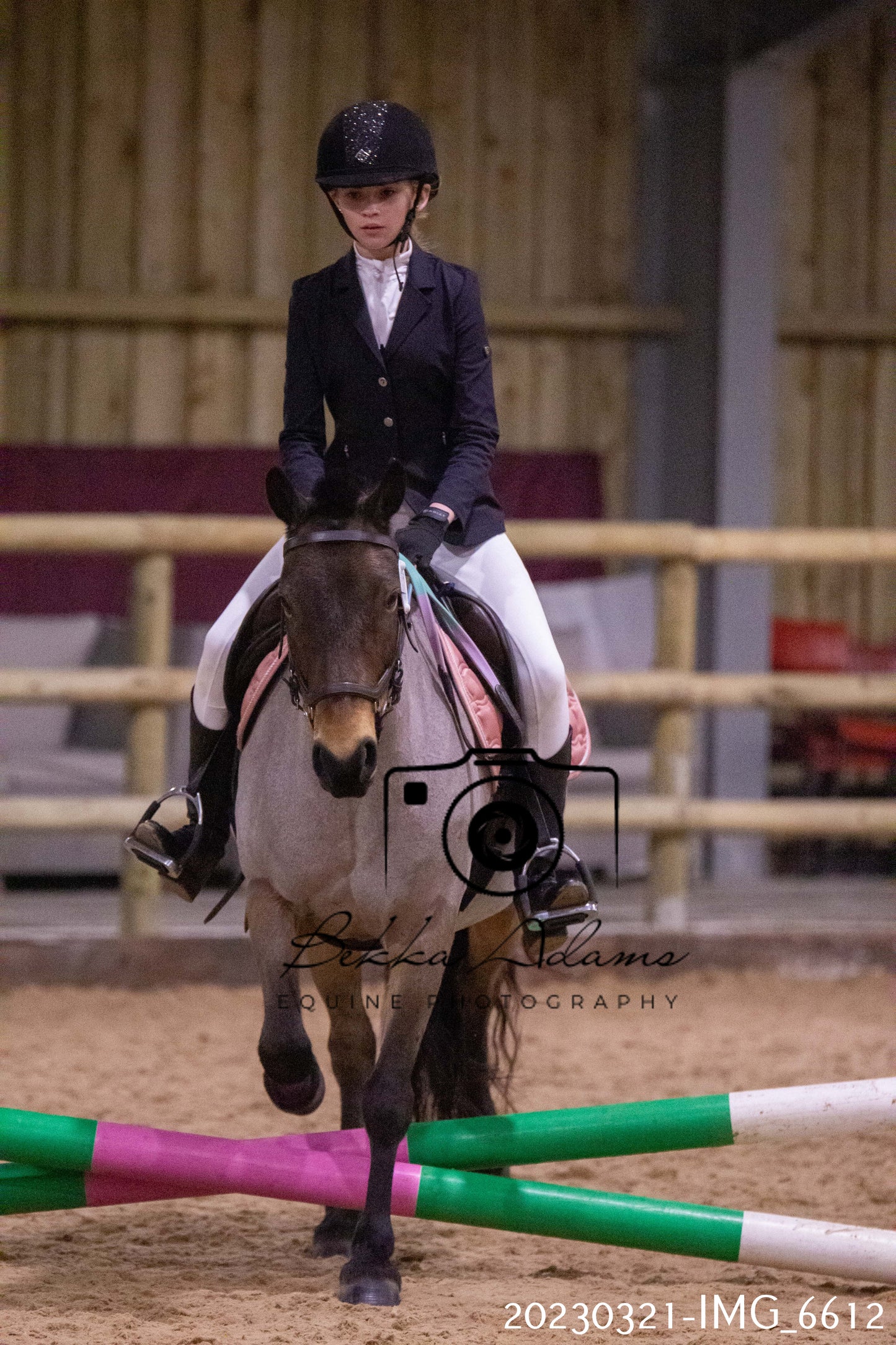 Home Farm Show Jumping 21st March