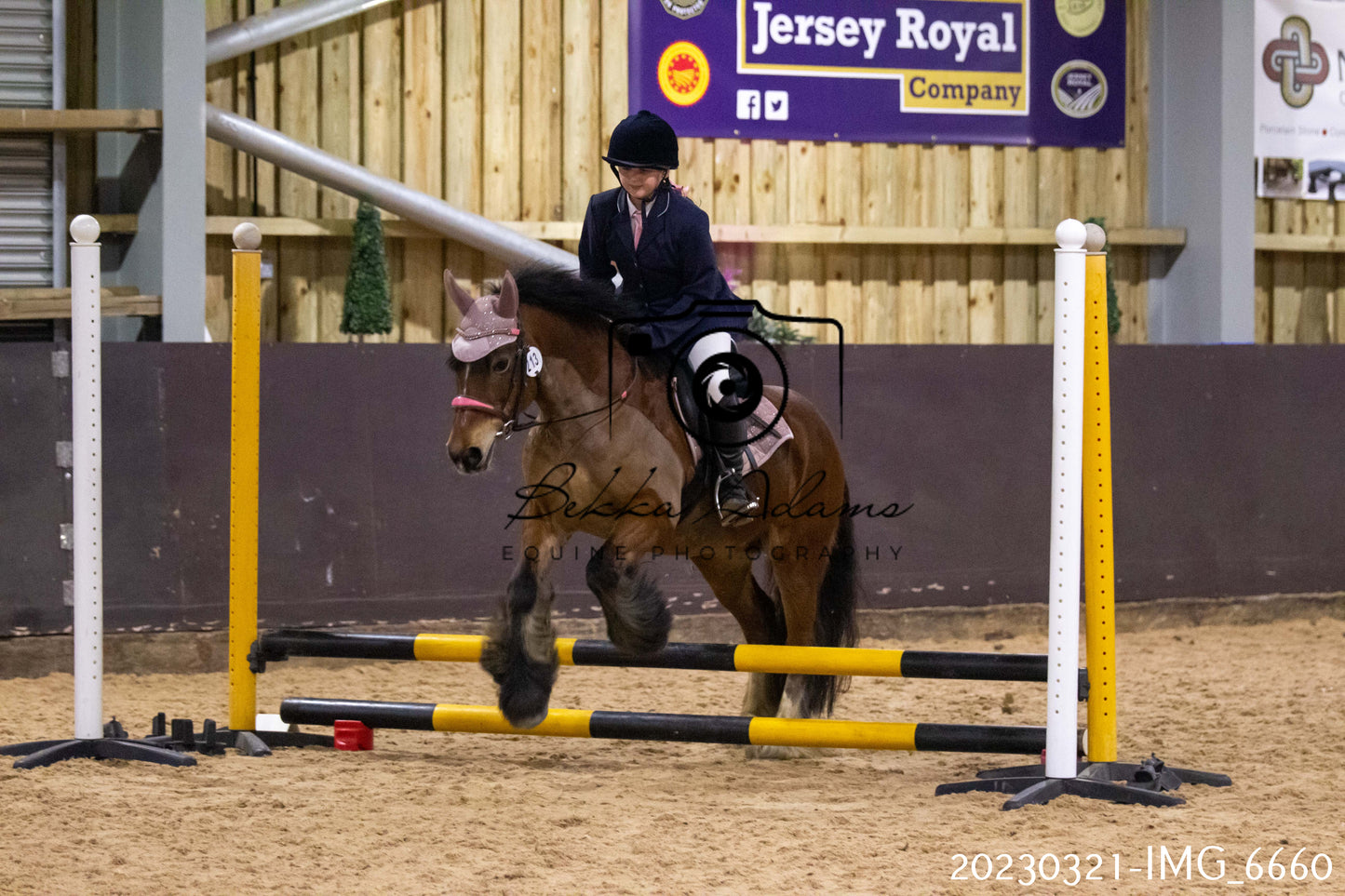 Home Farm Show Jumping 21st March