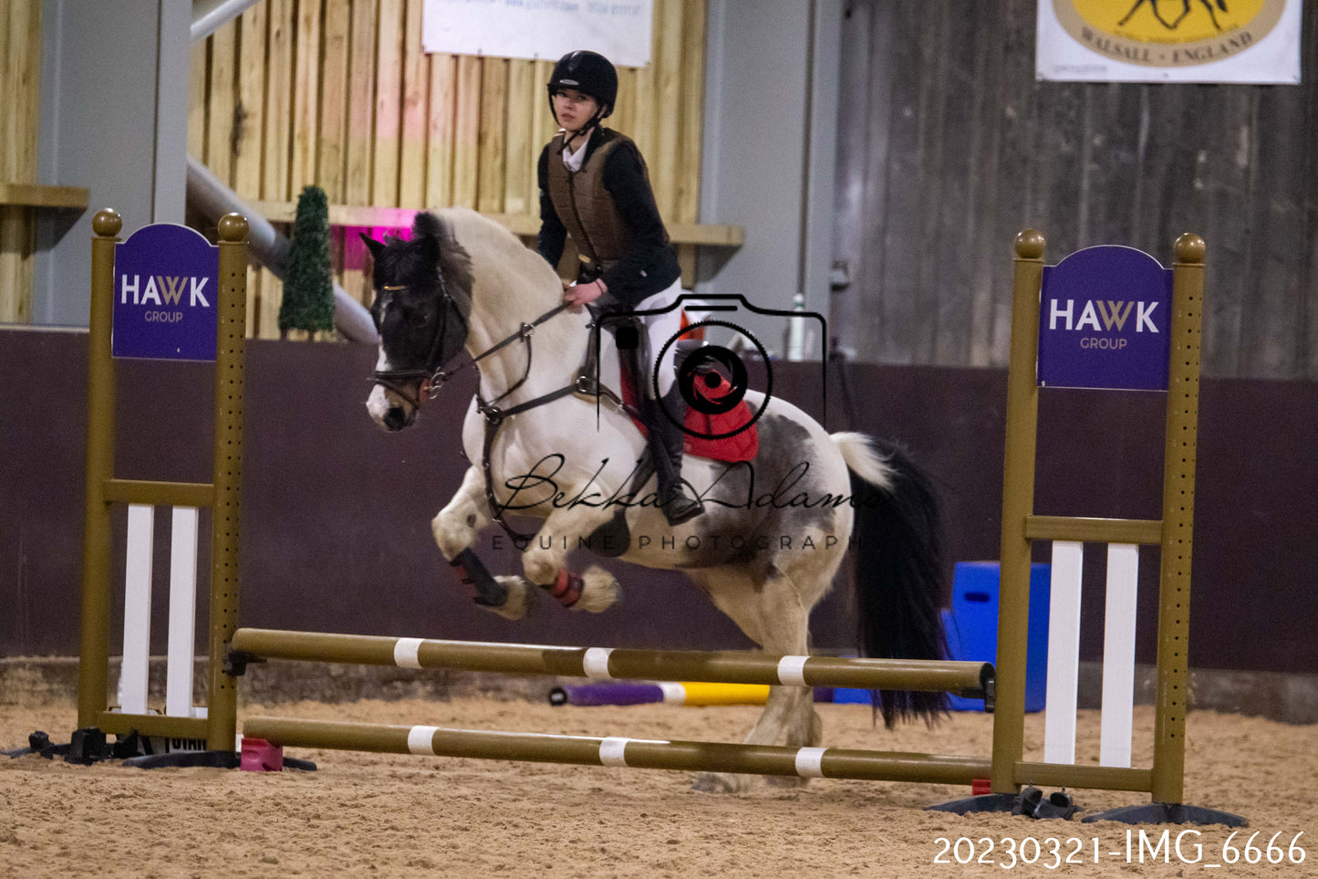 Home Farm Show Jumping 21st March