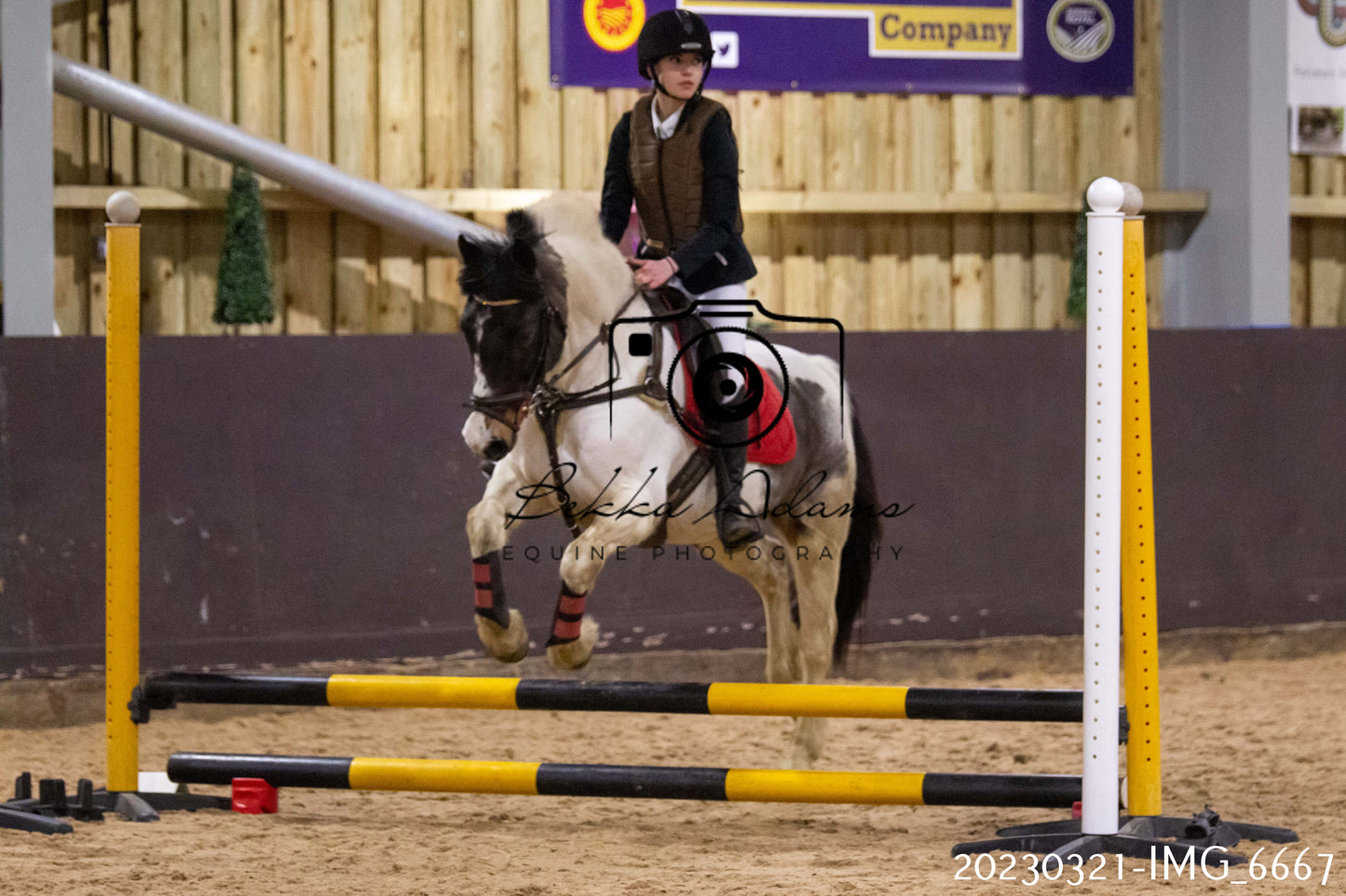 Home Farm Show Jumping 21st March