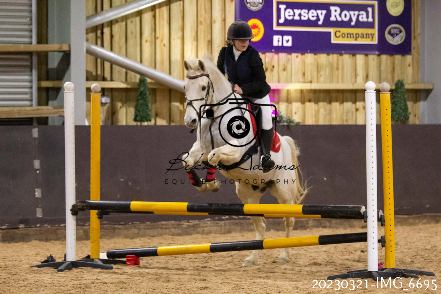 Home Farm Show Jumping 21st March