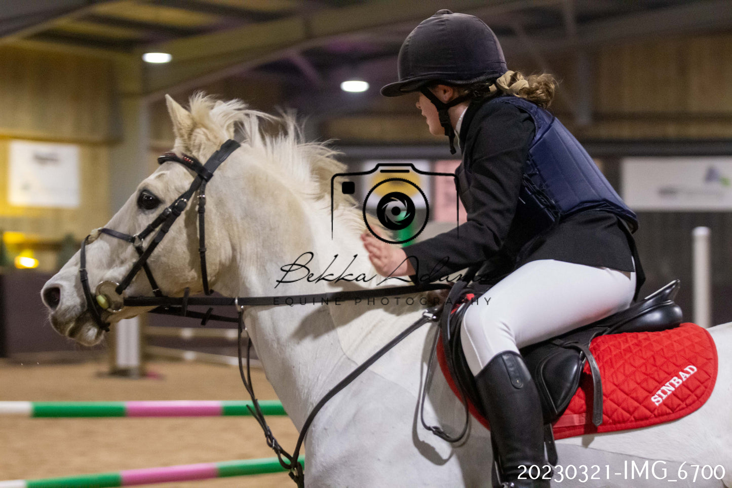 Home Farm Show Jumping 21st March