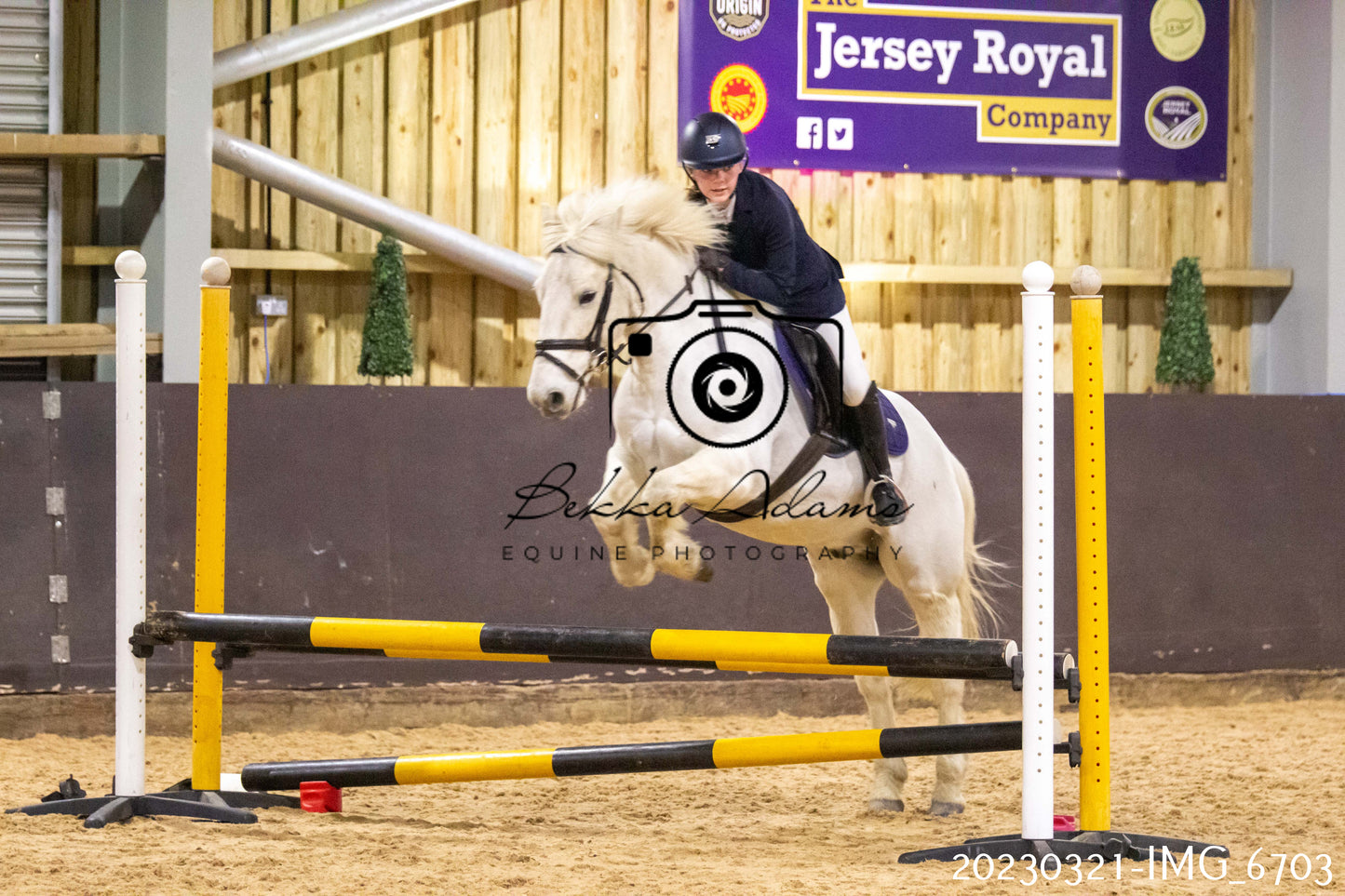 Home Farm Show Jumping 21st March