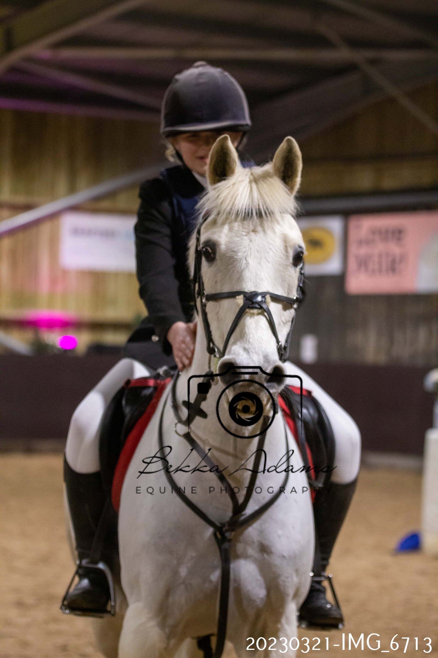Home Farm Show Jumping 21st March