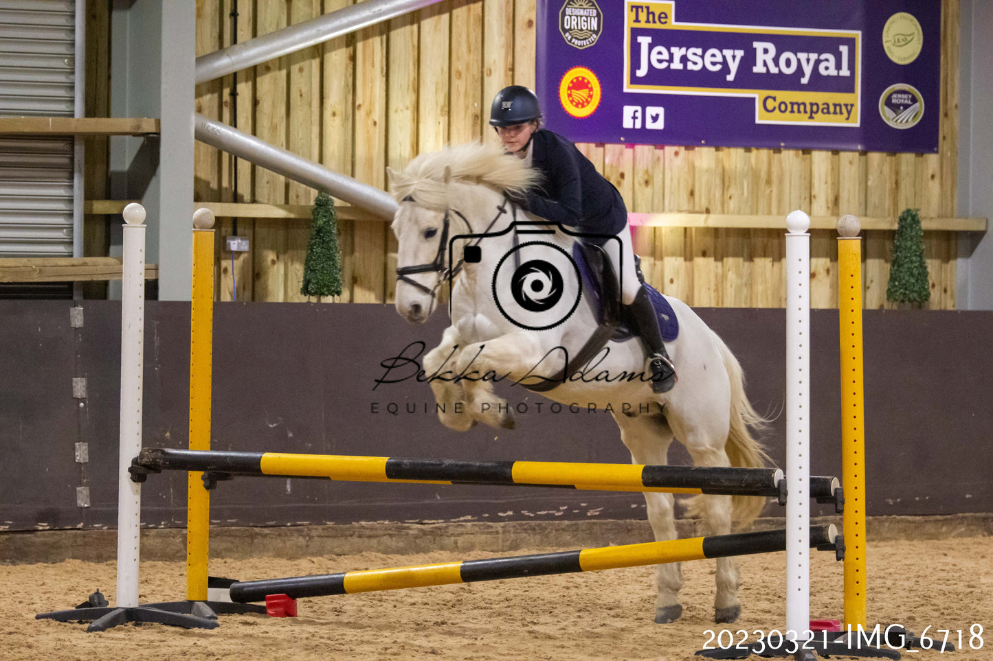 Home Farm Show Jumping 21st March