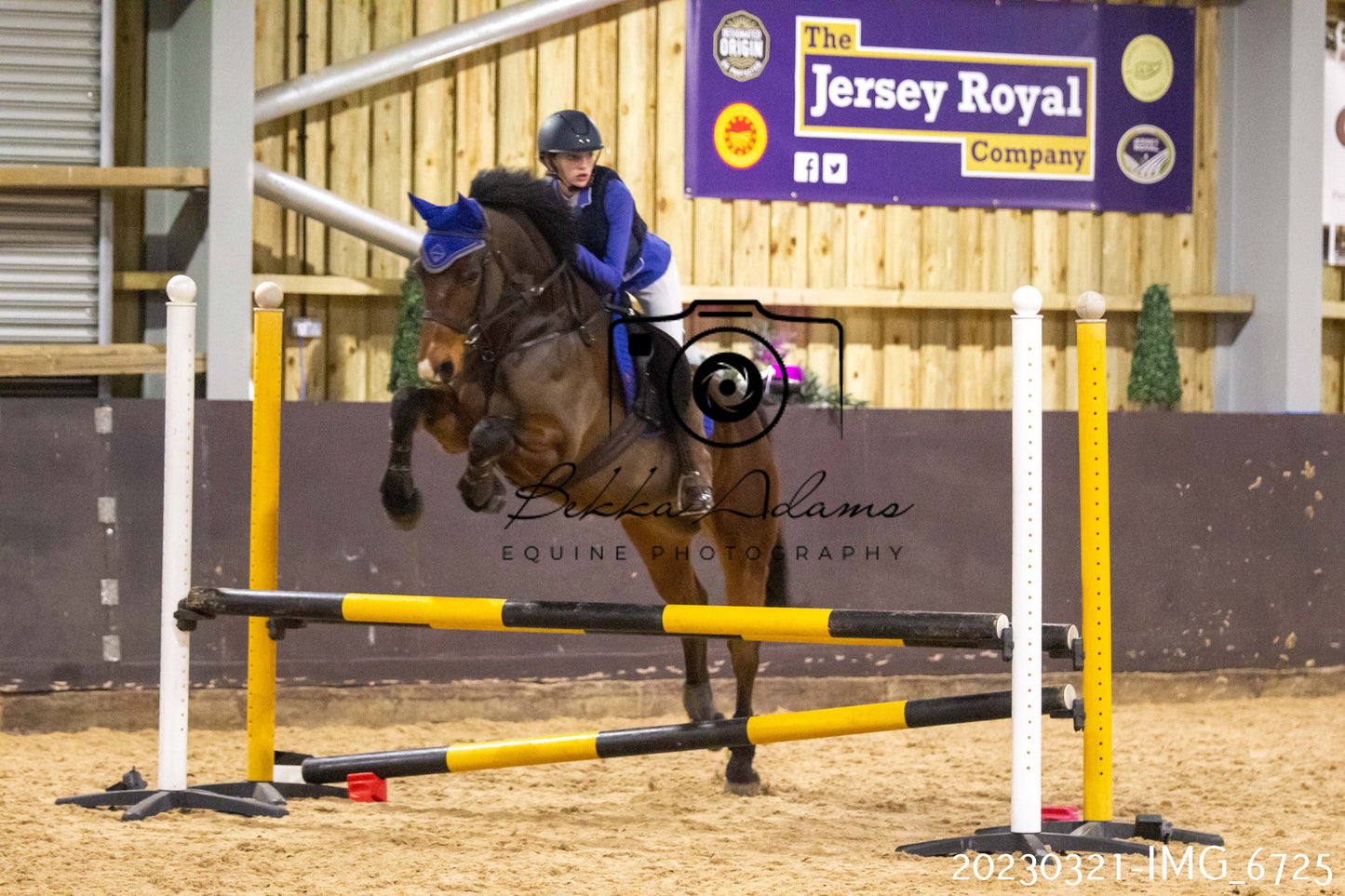 Home Farm Show Jumping 21st March