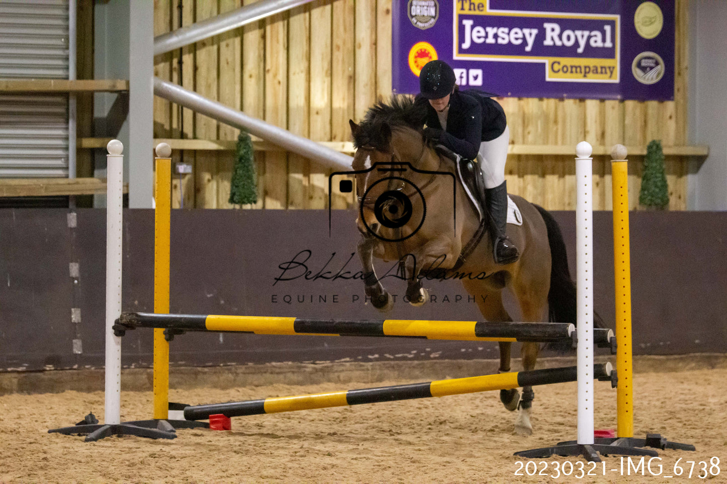 Home Farm Show Jumping 21st March
