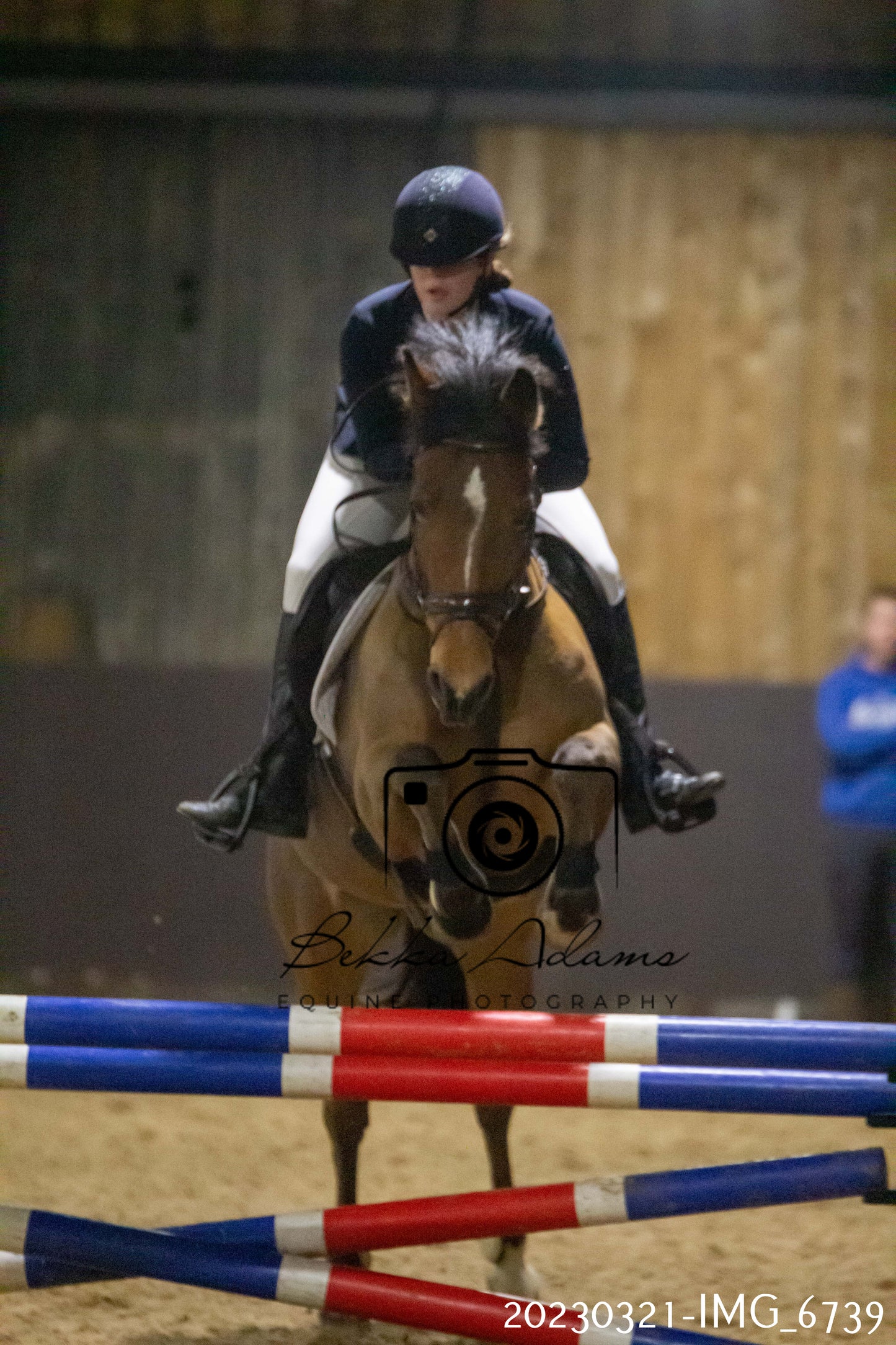 Home Farm Show Jumping 21st March