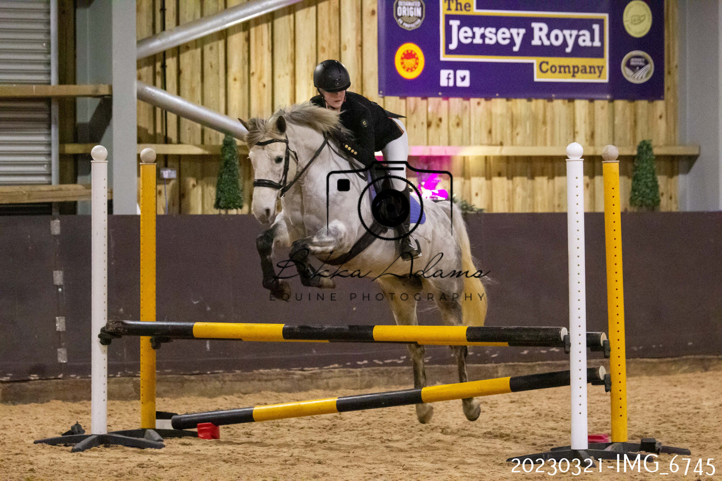 Home Farm Show Jumping 21st March