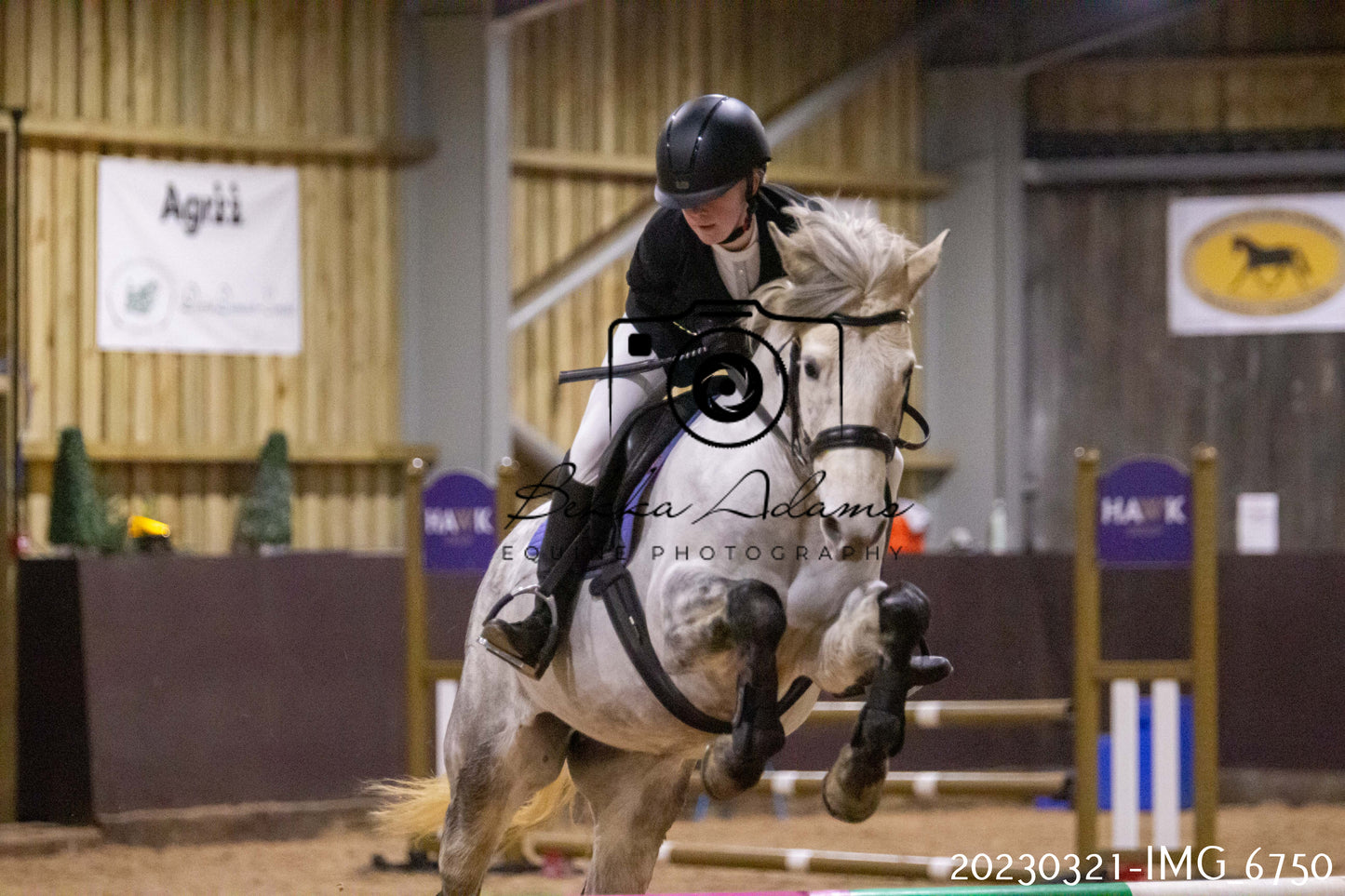 Home Farm Show Jumping 21st March