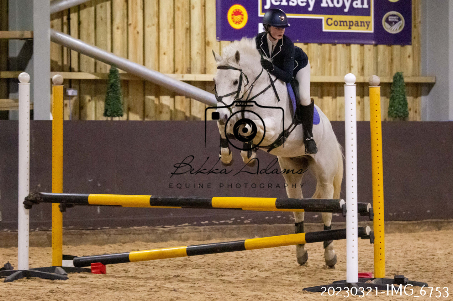 Home Farm Show Jumping 21st March