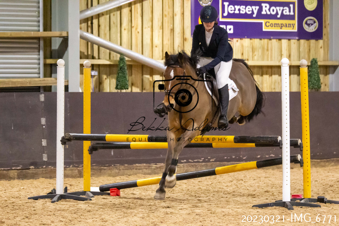 Home Farm Show Jumping 21st March