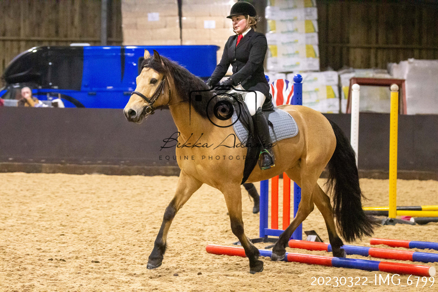 Home Farm Show Jumping 22nd March