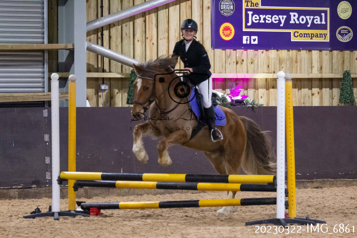 Home Farm Show Jumping 22nd March