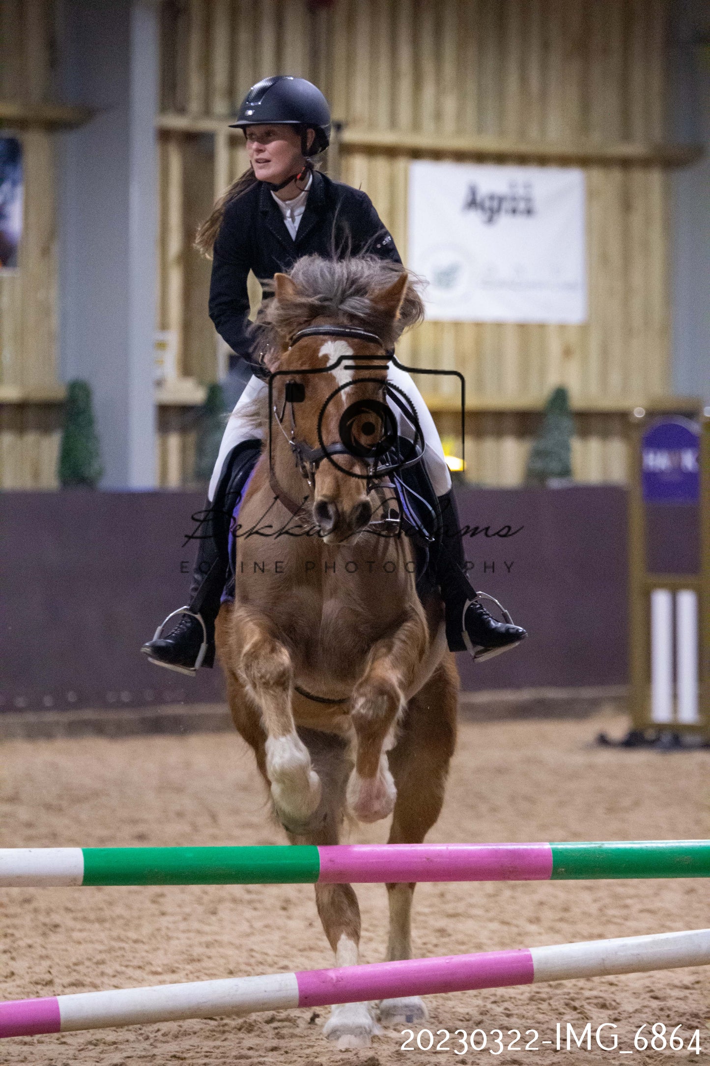 Home Farm Show Jumping 22nd March