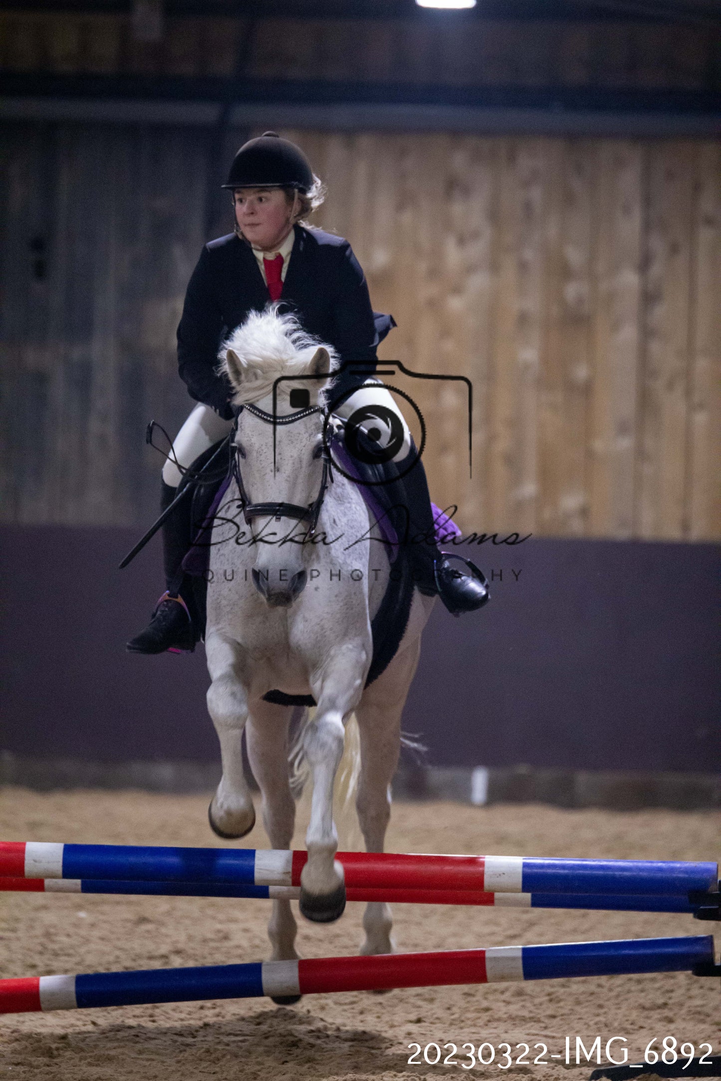 Home Farm Show Jumping 22nd March