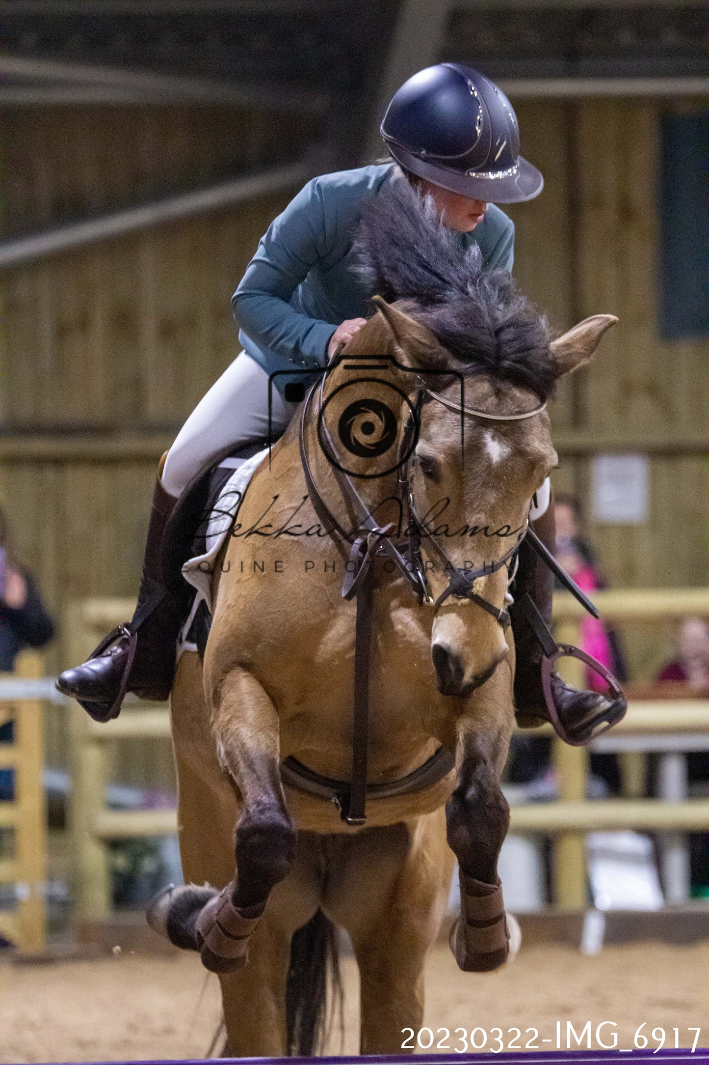 Home Farm Show Jumping 22nd March