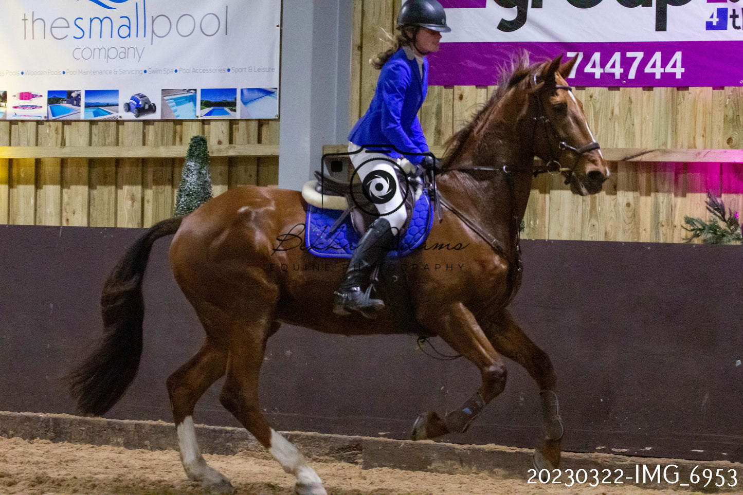 Home Farm Show Jumping 22nd March