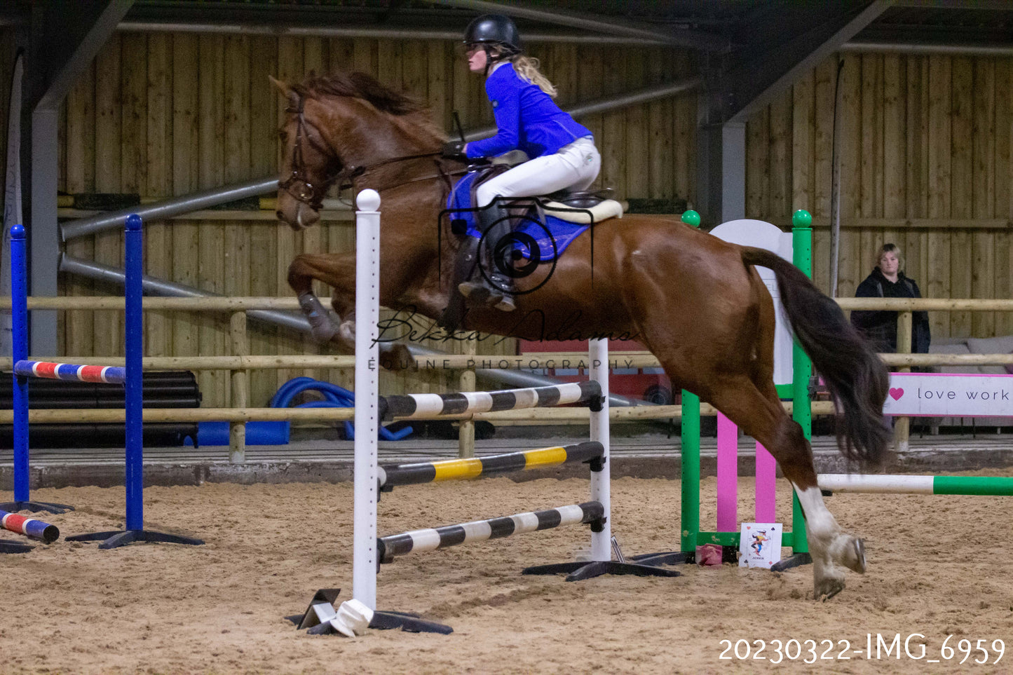 Home Farm Show Jumping 22nd March