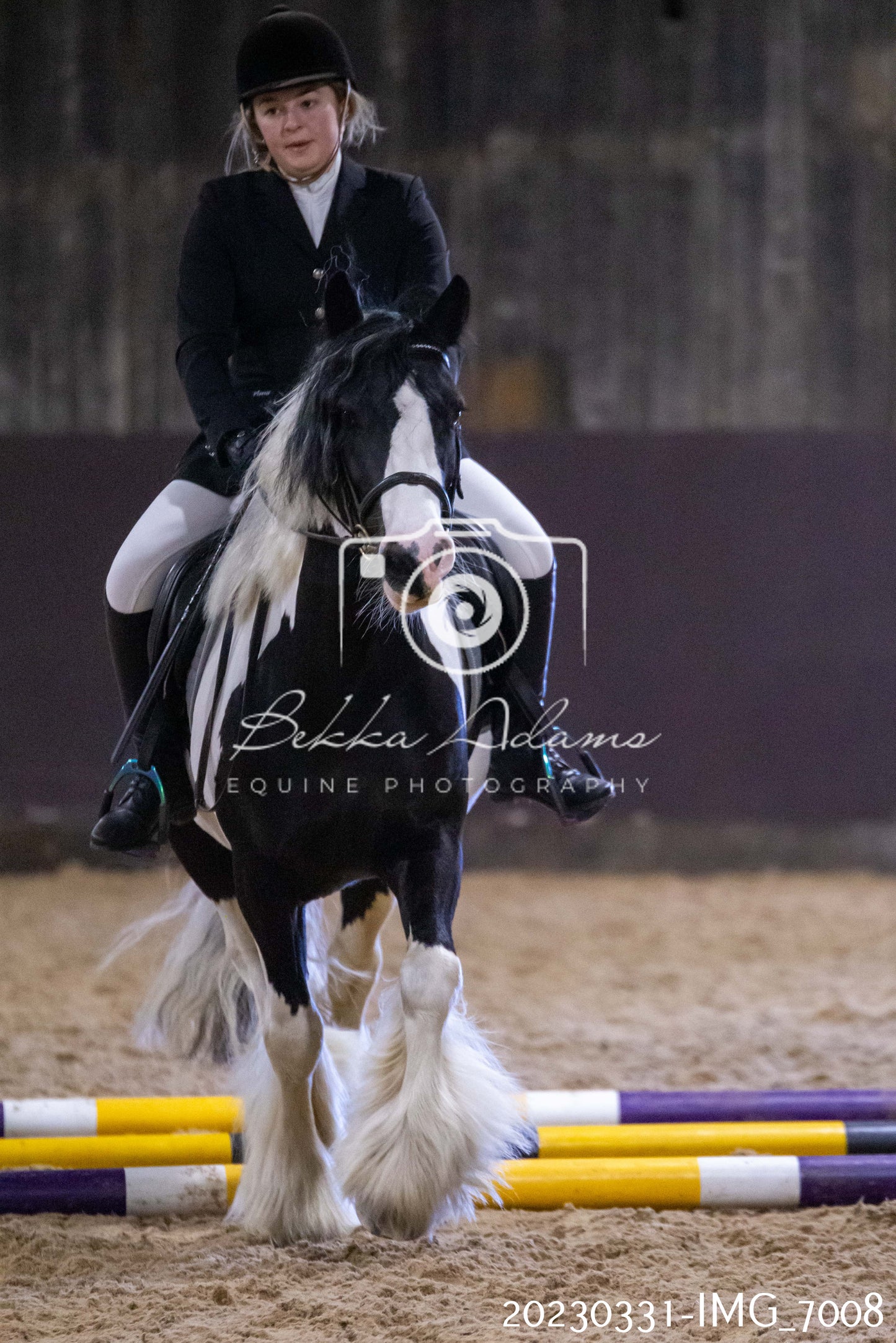 Home Farm Jumping 1st April - Seniors